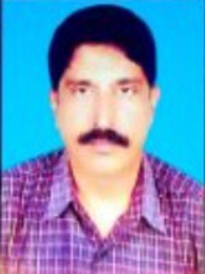 Board of Study Member